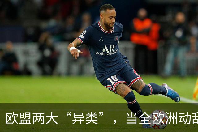 欧盟两大“异类”,当全欧洲动乱时,靠中国走上“捷径”躲过一劫