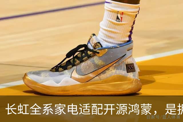 长虹全系家电适配开源鸿蒙,是拥抱生态更是求生